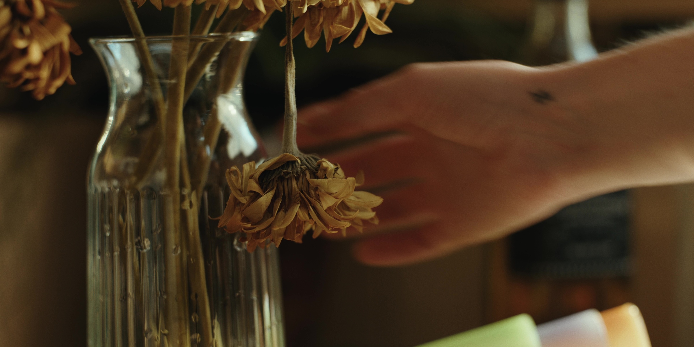 A hand reaches toward dried flowers in a glass vase — Bottom of the bottle