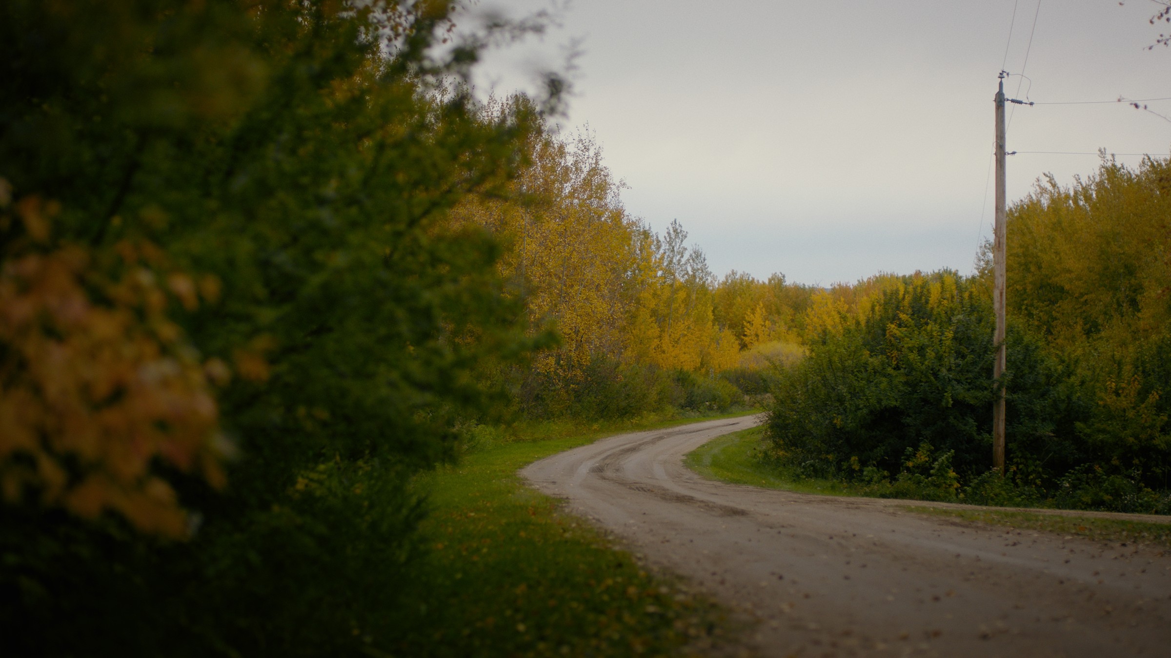 A gravel road curves through trees with yellow and green leaves — Communikit