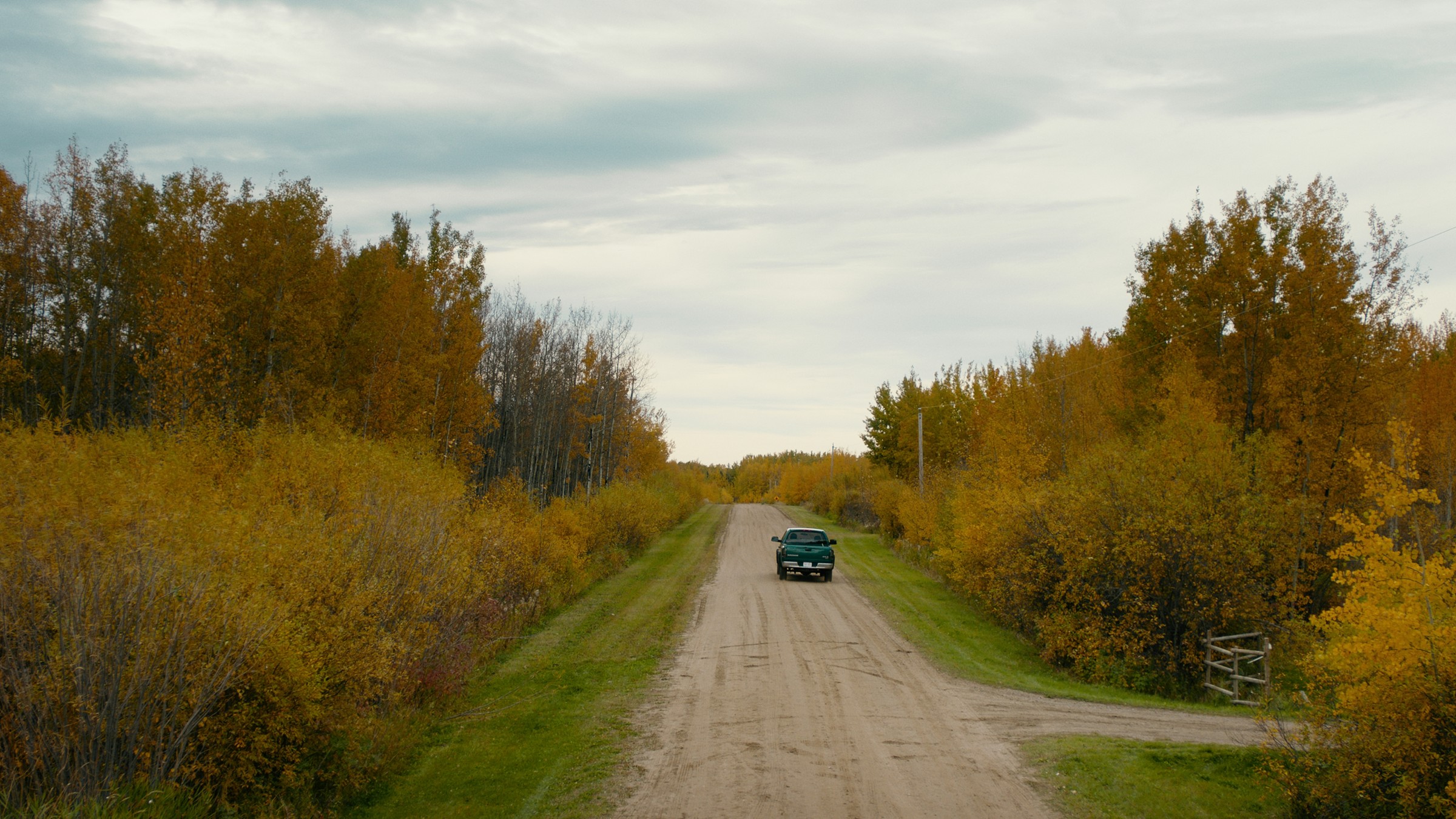 A car travels along a rural road lined with autumn trees — Communikit
