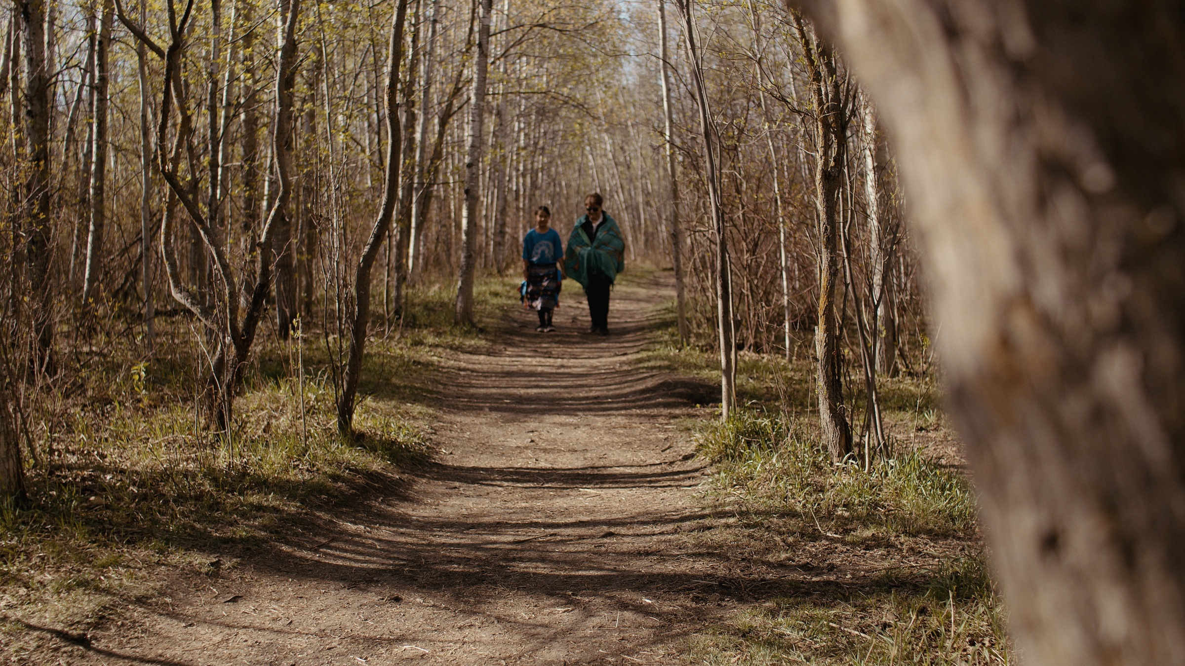 Two people walk along a sunlit woodland path — Home Fire