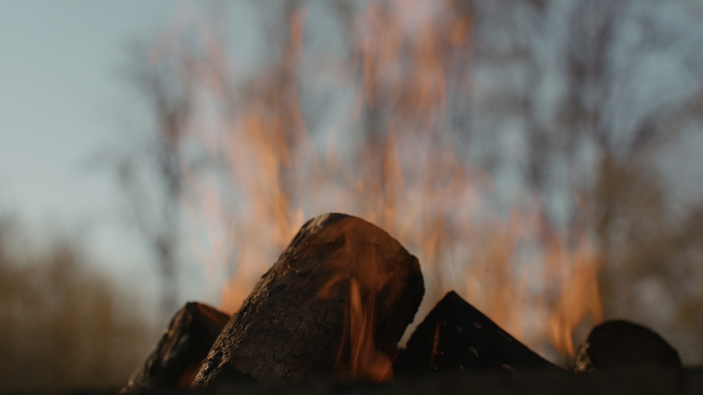 Flames rise from logs with trees beyond — Home Fire