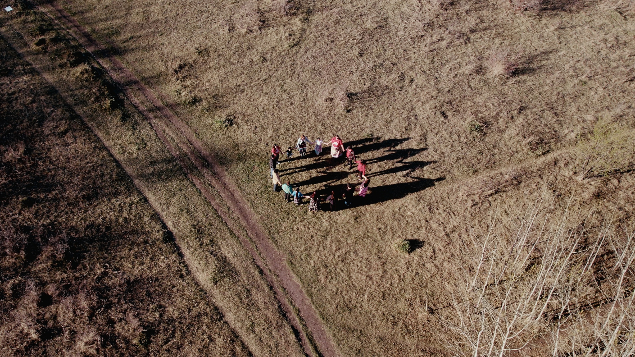 Overhead view of a group standing in a circle on a grassy clearing — Home Fire