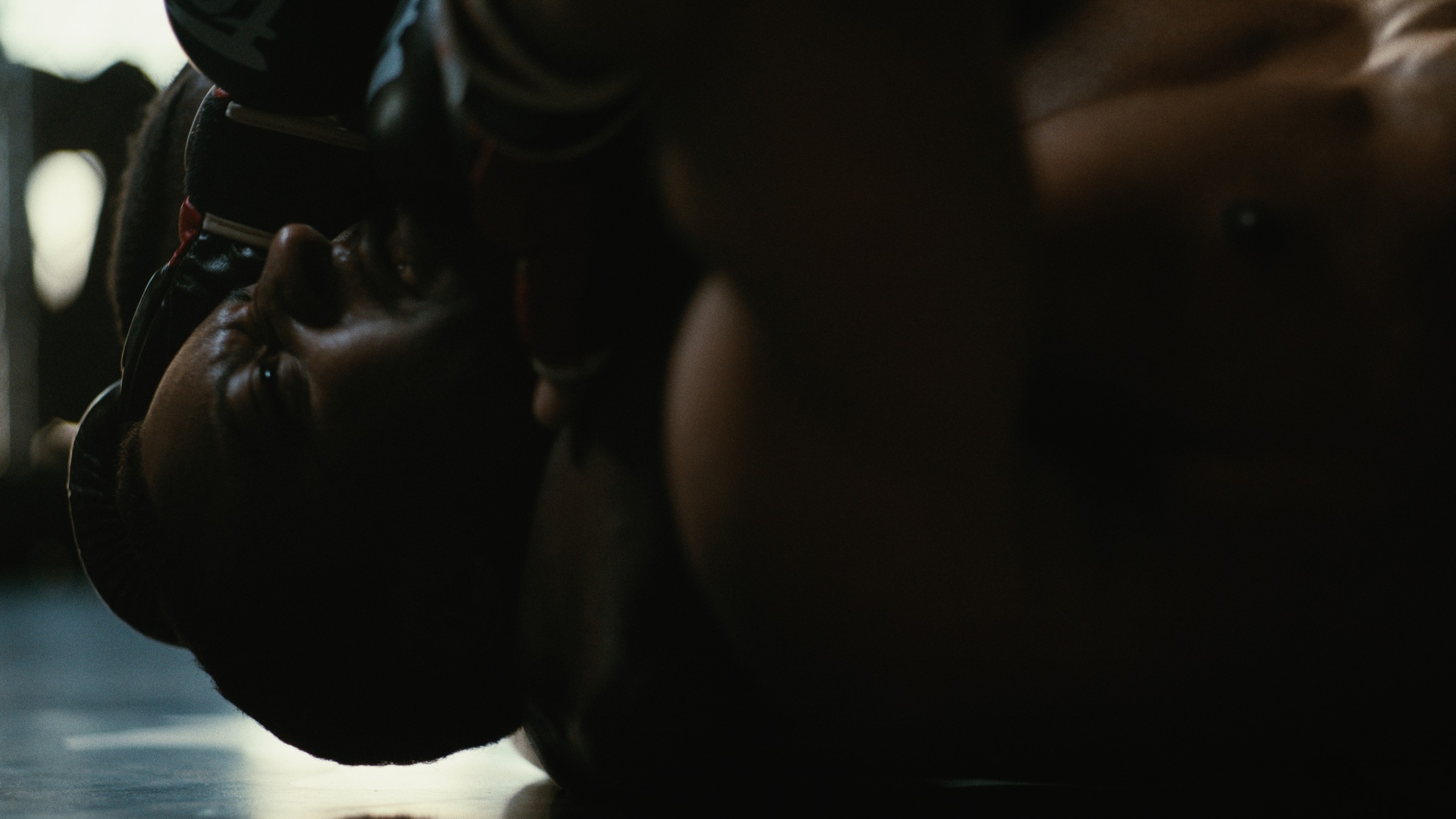 Close-up of boxing gloves during training — Kinetic